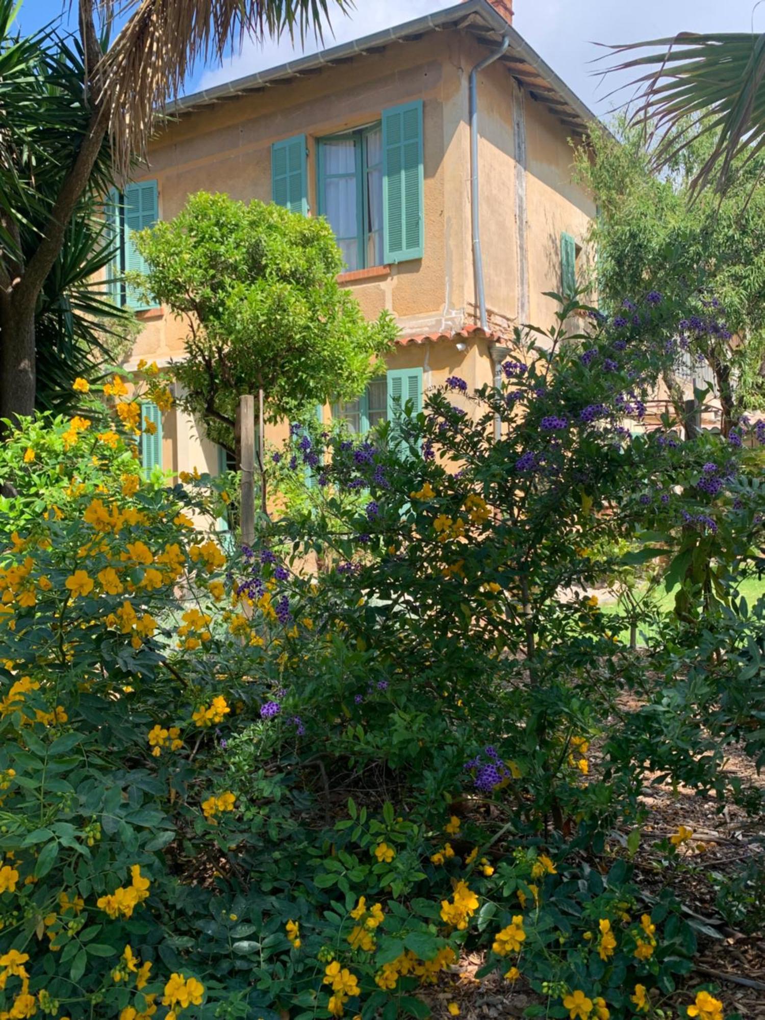 La Villa Des Amandiers Йер Экстерьер фото